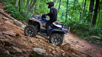 купить Квадроцикл YAMAHA Grizzly 700 EPS SE (ПСМ) в Москве - фото 