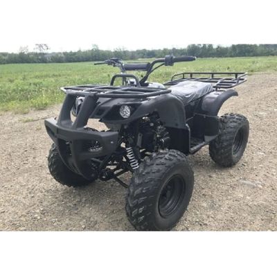 купить Квадроцикл HAMMER Hunter 300 в Москве - фото 