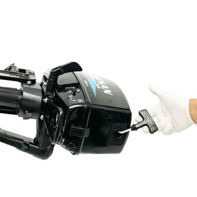 купить 2х-тактный лодочный мотор MESAN 4.0 в Москве - фото 