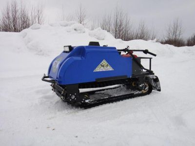 купить Мотобуксировщик РАЙДА 087L02 9 л.с. в Москве - фото 