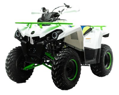 купить Квадроцикл MOTOLAND 200 Shark (2021 Г.) в Москве - фото 