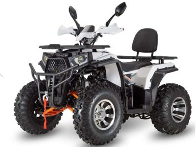 купить Квадроцикл BRO Armour Max 200 Pro в Москве - фото 