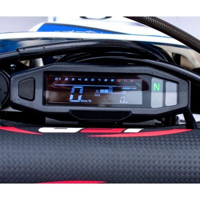 купить Мотоцикл кроссовый эндуро REGULMOTO Legend 300 в Москве - фото 