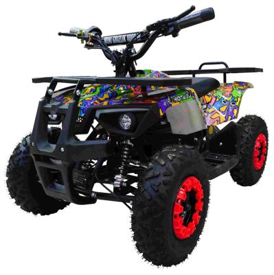 купить Электроквадроцикл MOTAX GRIZLIK X16 NEW E1000 BW в Москве - фото 