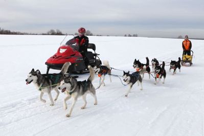 купить Снегоход РУССКАЯ МЕХАНИКА Тайга Варяг 550V в Москве - фото 