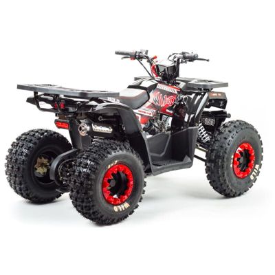 купить Квадроцикл MOTOLAND Wild 150 в Москве - фото 