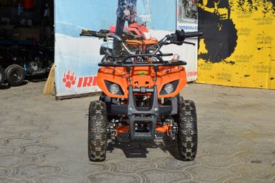 купить Квадроцикл ATV Target Next в Москве - фото 