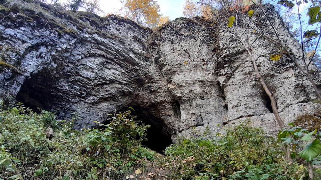 1693391257576612748 (3).jpg