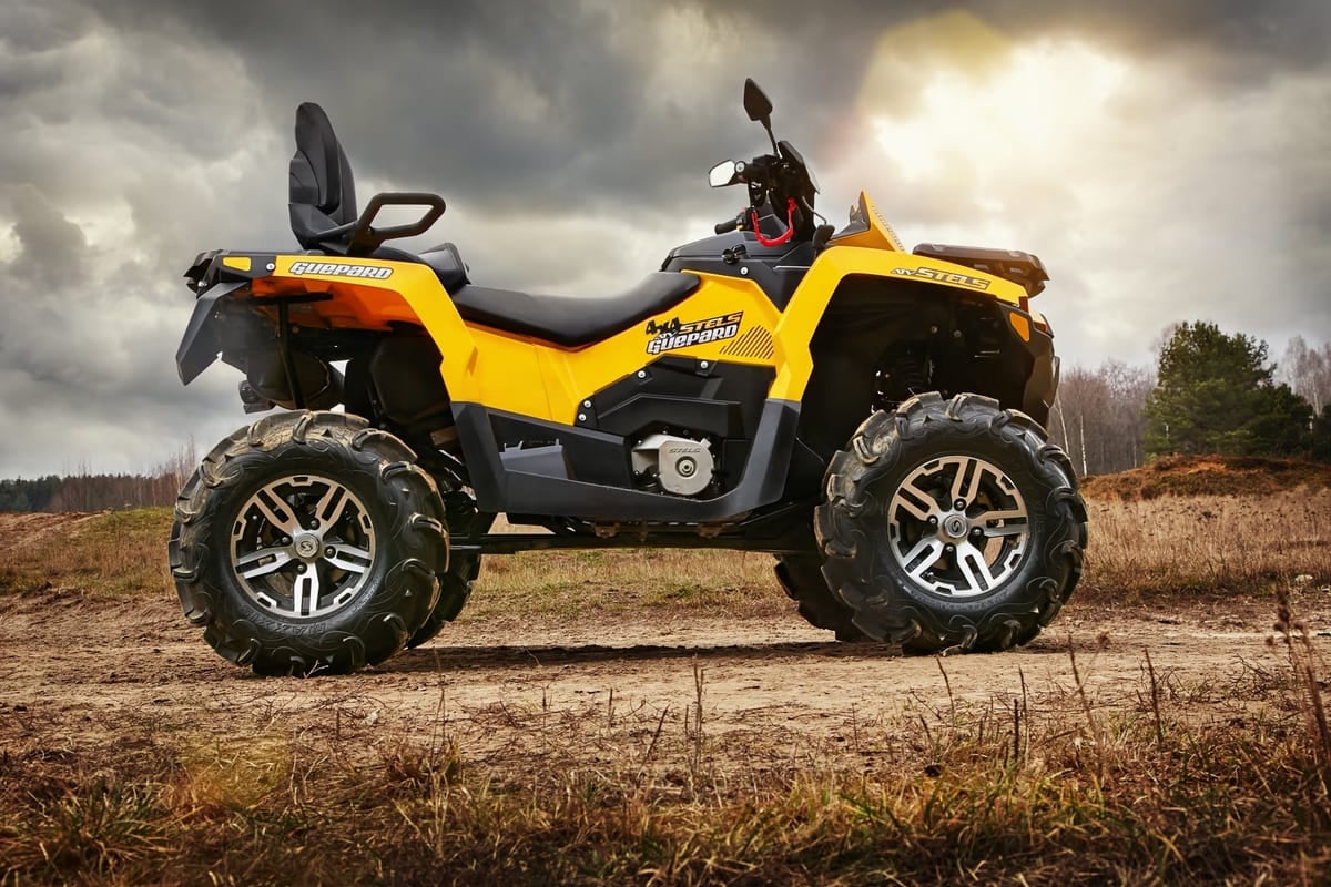 Квадроцикл СТЕЛС ATV 650 Guepard Trophy CVTech (ПСМ)